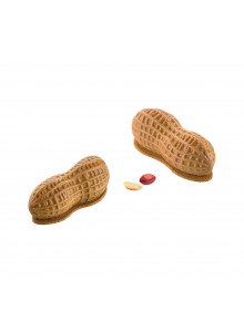 Moule silicone CACAHUETES -...